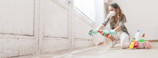 Why You Should Choose Our Mold Remediation Services in Valley Stream, NY